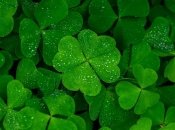 Що означає, що скоро вам пощастить?