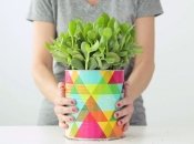 Что сделать с банками из-под молочной смеси: 15 крутых идей