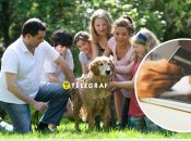 Банковские переводы между родными