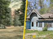 Дачі в Боярці