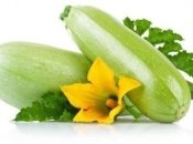 Кабачок в детском питании