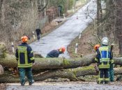Шквалистий вітер: у половині областей люди залишились без світла