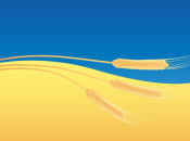 У Польщі вигадали, як вирішити проблему із зерном з України: подробиці