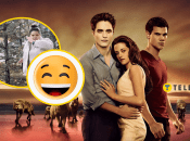 Украинка воспроизвела "Сумерки"