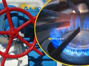 Газоснабжение и импорт газа