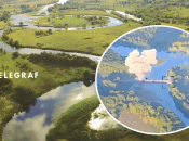 Колаж "Телеграфу"