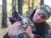 Пес Ерік та гвардієць Ерік