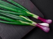 Зелена цибуля