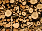 Перед використанням дрова потрібно добре просушити