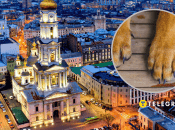 У Харкові побачили лисицю