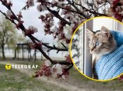 Погода в апреле