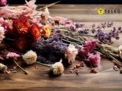 Засушені квіти вдома — це не завжди погано