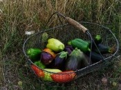 Посевной календарь на июнь 2022 года по дням