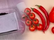 Хороша розсада — запорука чудового врожаю