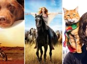 Найкращі фільми на вечір для сімейного перегляду