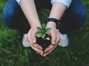 Як визначити кислотність ґрунту без лабораторного аналізу