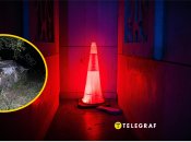 ДТП у Кривому Розі