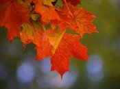 Появился прогноз погоды в Украине на сентябрь 2023