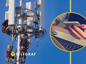 Вишка стільникова