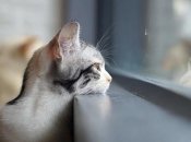 Синоптики обещают "осеннюю" погоду