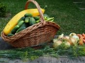 Сейчас предложение раннего лука значительно превосходит спрос на данную продукцию