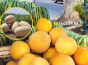 Дині на ринку