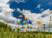 Погода в Украине