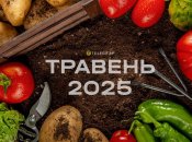 Коли найкраще саджати кукурудзу у травні — сприятливі дні