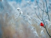 Прогноз погоды в Украине на январь