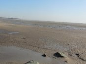 Фото иллюстративное