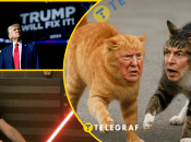 Ссора между Маском и Трампом