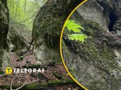 Там царит атмосфера нетронутой природы