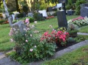 Що посадити на кладовищі