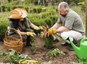 Сприятливі та несприятливі дні для городніх робіт