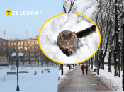 Кіровоградщина