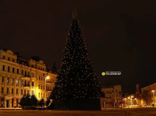 Ялинку почали прикрашати цікавими іграшками