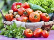 Виберіть між "Де Барбо" та "Рожева Ляна"