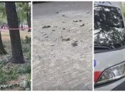 Взрыв в Запорожье: обломки сбитого БПЛА упали в парке, есть пострадавшие (видео)