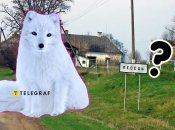 Песець на Хмельниччині