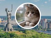 Погода в Киеве