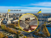 На сході зафіксували появу унікального кажана