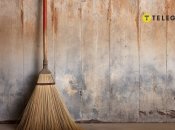 Однією з таких речей є віник