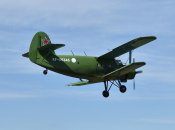 В России упал "кукурузник": на борту были дети (видео)