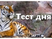 Тест по картинці — що може сказати про вас подарунок