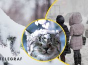 Погода в Украине