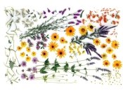 Вопрос-ответ: как засушить листья и цветы для гербария и картин?