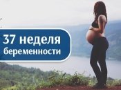 Как выглядит живот на 37 неделе беременности: 15 фото из Инстаграма