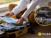 Это одни из самых популярных направлений в Украине