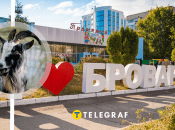 Животное шло по своим делам