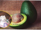 Чем можно заменить авокадо